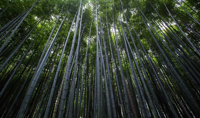 Unauth title knQmlzKN